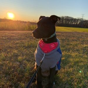 Meet your Posher, Laura